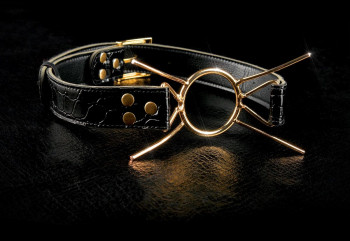 Золотистый расширитель для рта Gold Deluxe Spider Gag